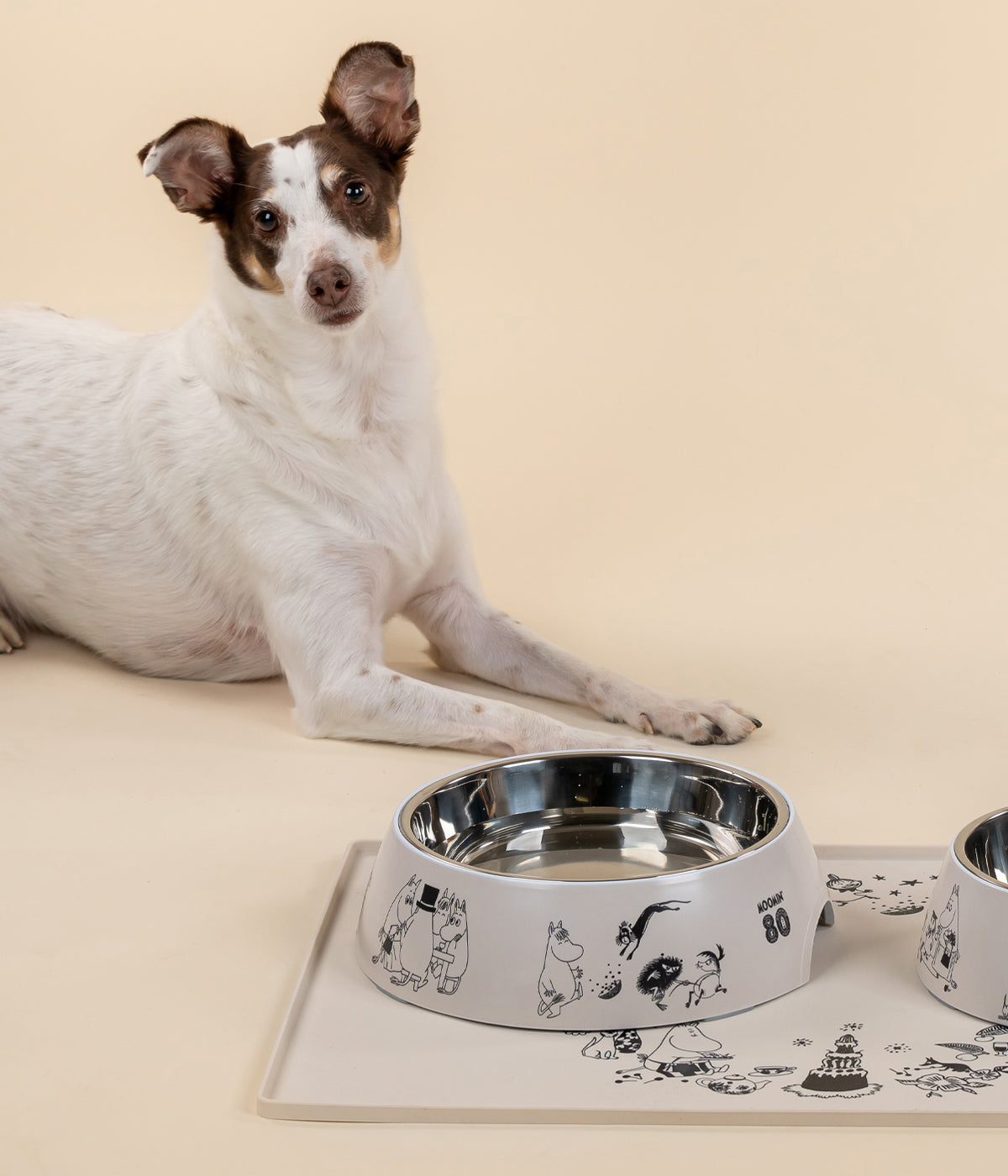 Moomin for Pets kulho Muumi 80 XL