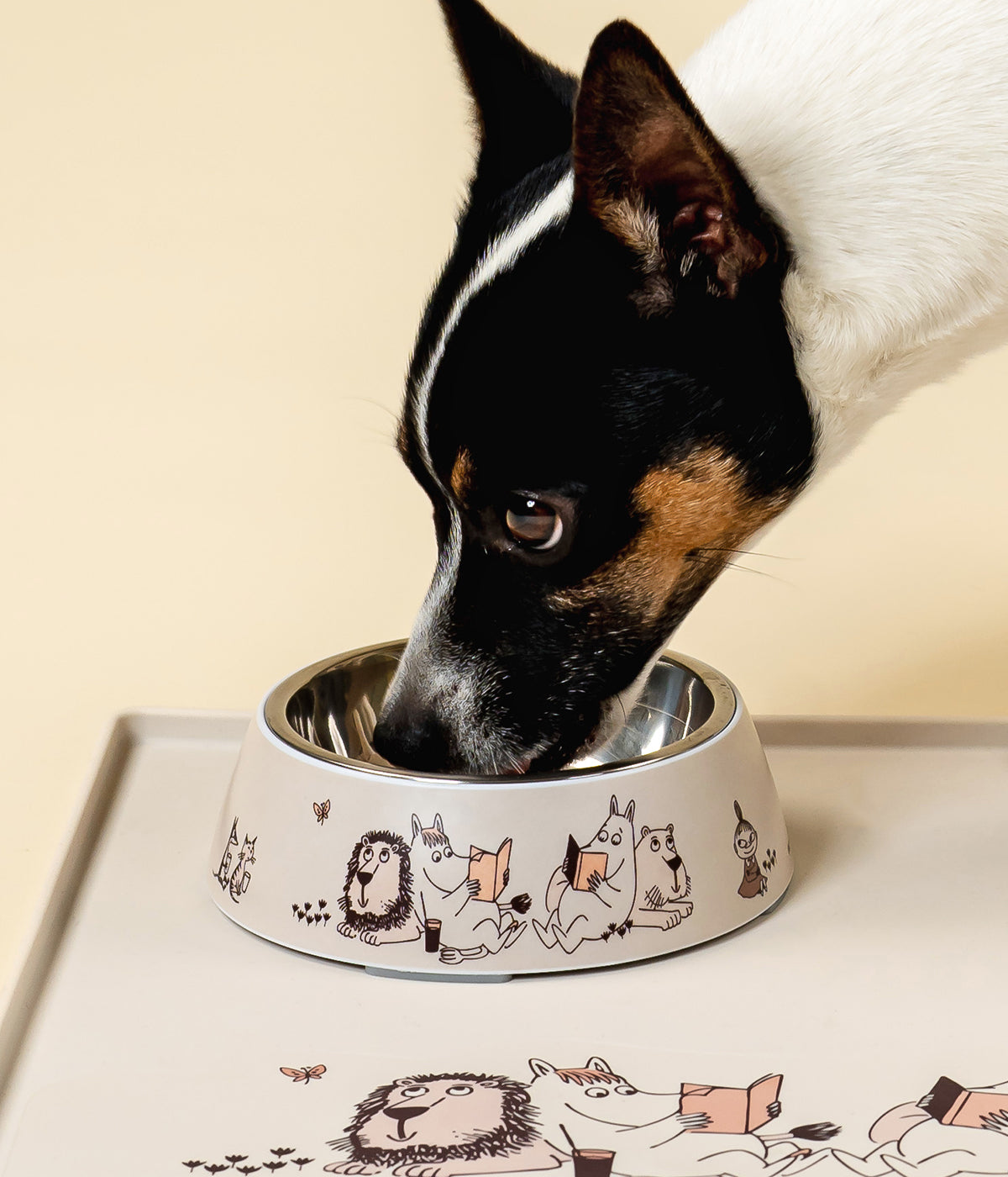 Moomin for Pets kulho Hetket S