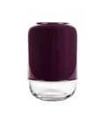 Kapseli maljakko purppura/kirkas