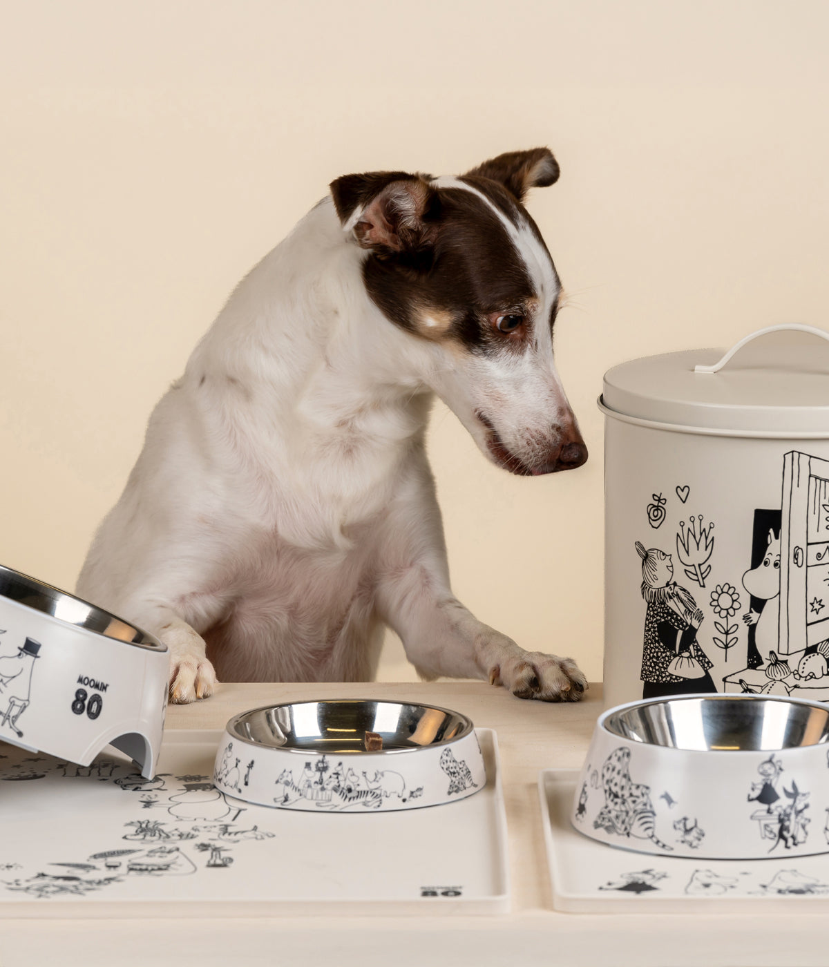 Moomin for Pets peltipurkki 21 cm, Muumi 80