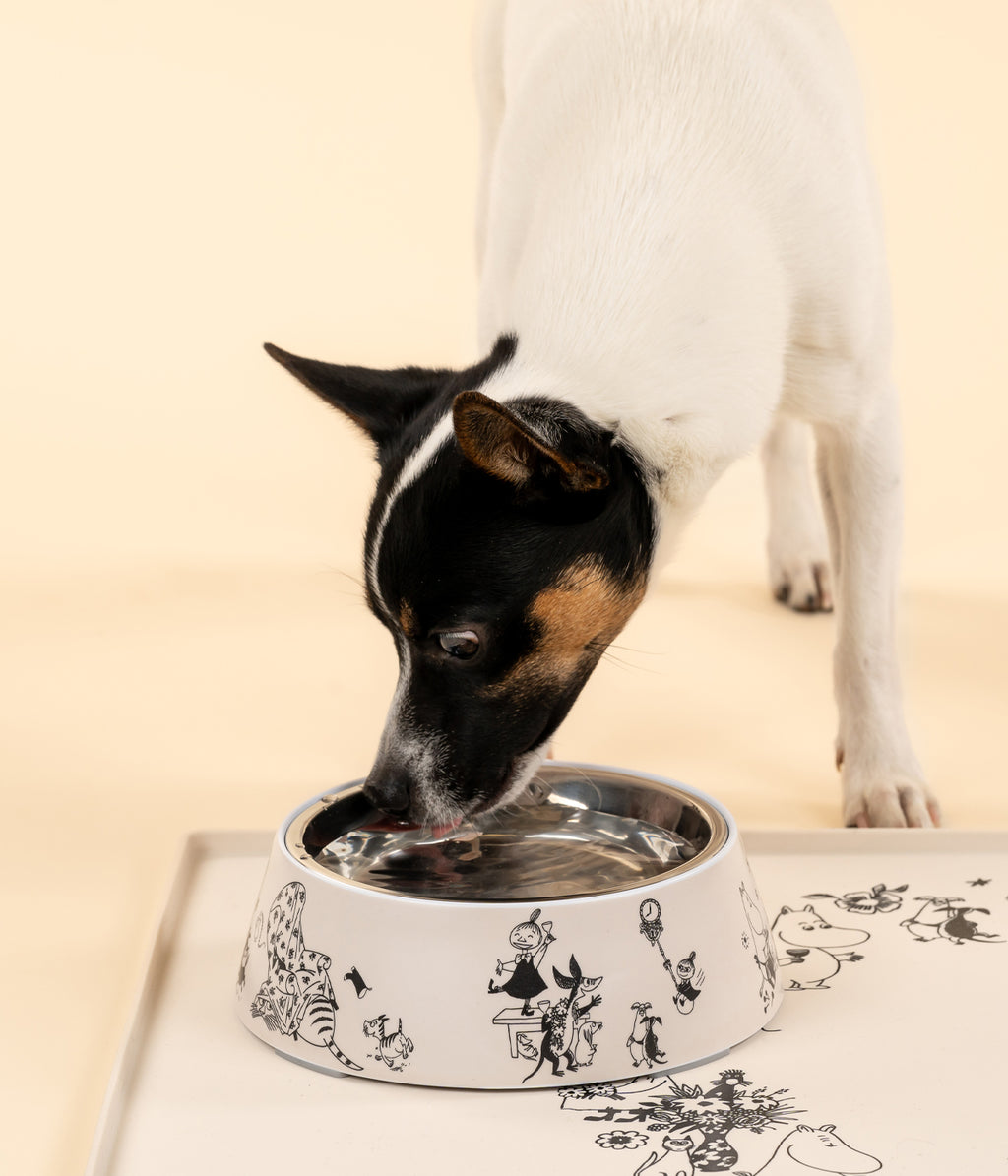 Moomin for Pets kulho Muumi 80 M