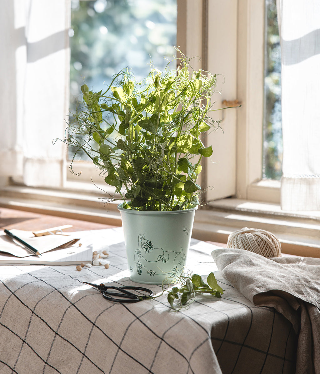 Moomin tin flower pot Gardenia 11 cm